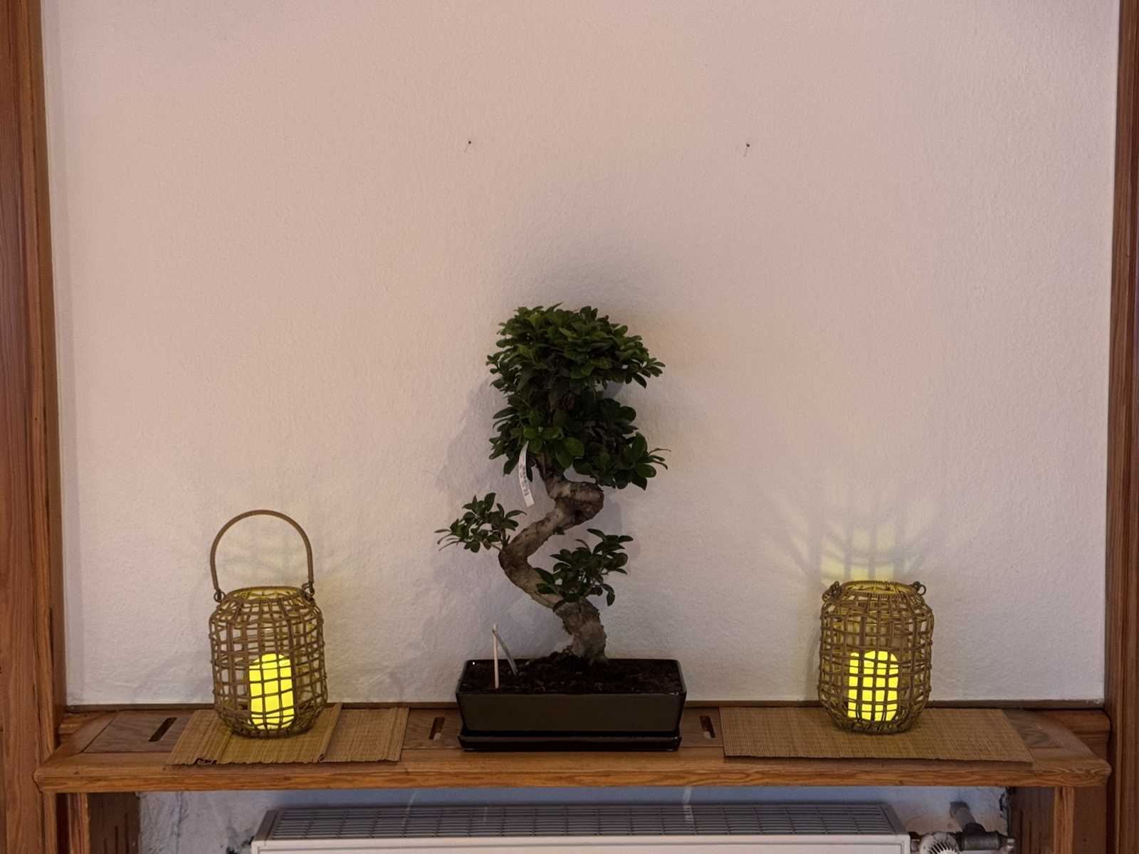 Bonsai mit zwei warm leuchtenden Laternen im Dojo der Karateschule Lahde