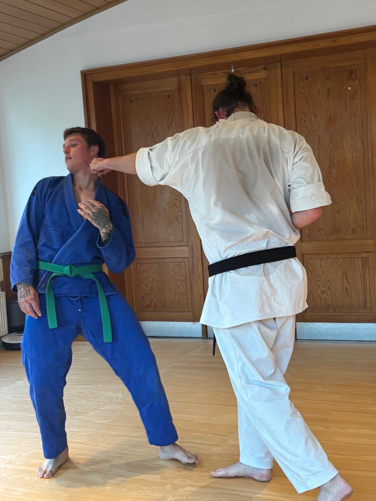Rene Tegeler und ein Trainingspartner üben Bunkai kontrolliert im Dojo Lahde
